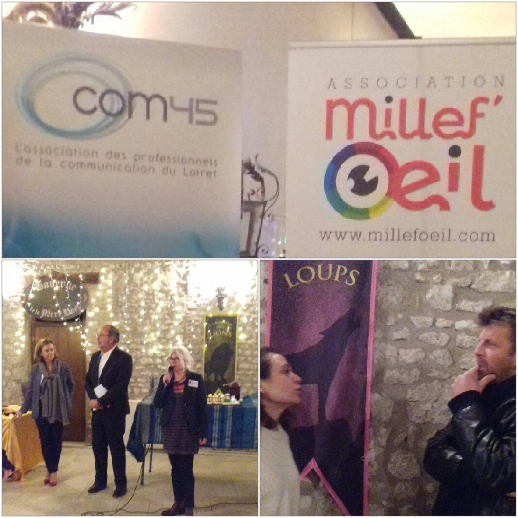 LaurentJEGOUZO's tweet photo. Réunion commune avec @millefoeil41 et #com45 à #meung sur Loire #speeddating #communication #Tourisme https://t.co/jJSOHSX7cR