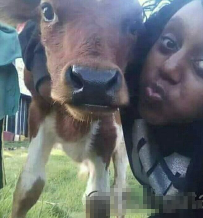 KenyaTroll's tweet photo. Aki nyinyi madem wa Nairobi mtatuonyesha mambo 😂
Kisii #M7InKenya Kitui West #RoadCarnage Kalonzo Musyoka #Twaweza #AdelleAndShaffieOnKISS https://t.co/zvpsw4XDNU