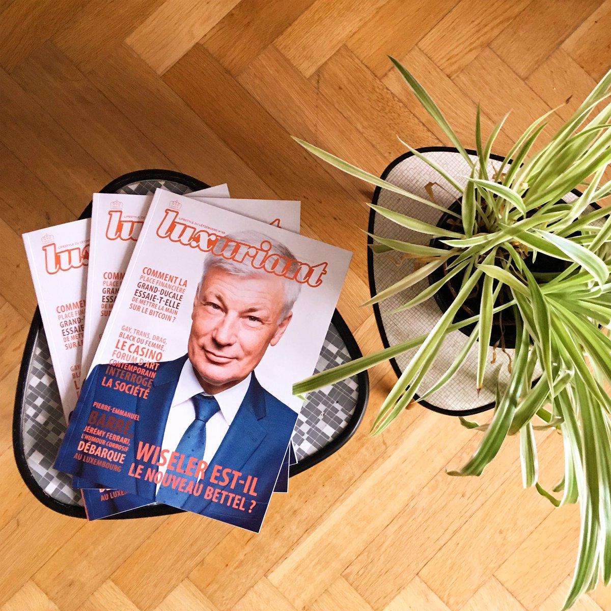 Luxuriant 69 vous parle du bitcoin, du futur Premier ministre, du blues de Noël, de l'individualité du mouvement LGBTQ, de microbrasseurs, d'Elon Musk, de la Shelby GT 500, du Soho, de Parov Stelar, de Pierre-Emmanuel Barré, de Jeremy Ferrari et d'un certain David Laurent !