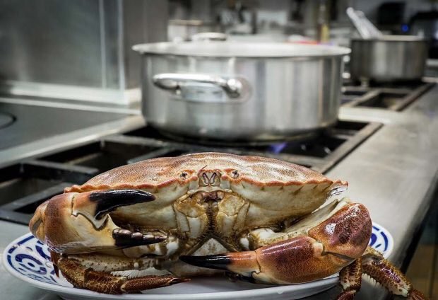 rias_de_galicia's tweet photo. Consejos para cocinar marisco en casa estas fiestas y obtener los mejores resultados con nuestro chef Ever Cubilla. Gracias a @LaGulateca por su artículo en @20m: 📝 https://t.co/WzqAI5anBe https://t.co/rlT012yklN