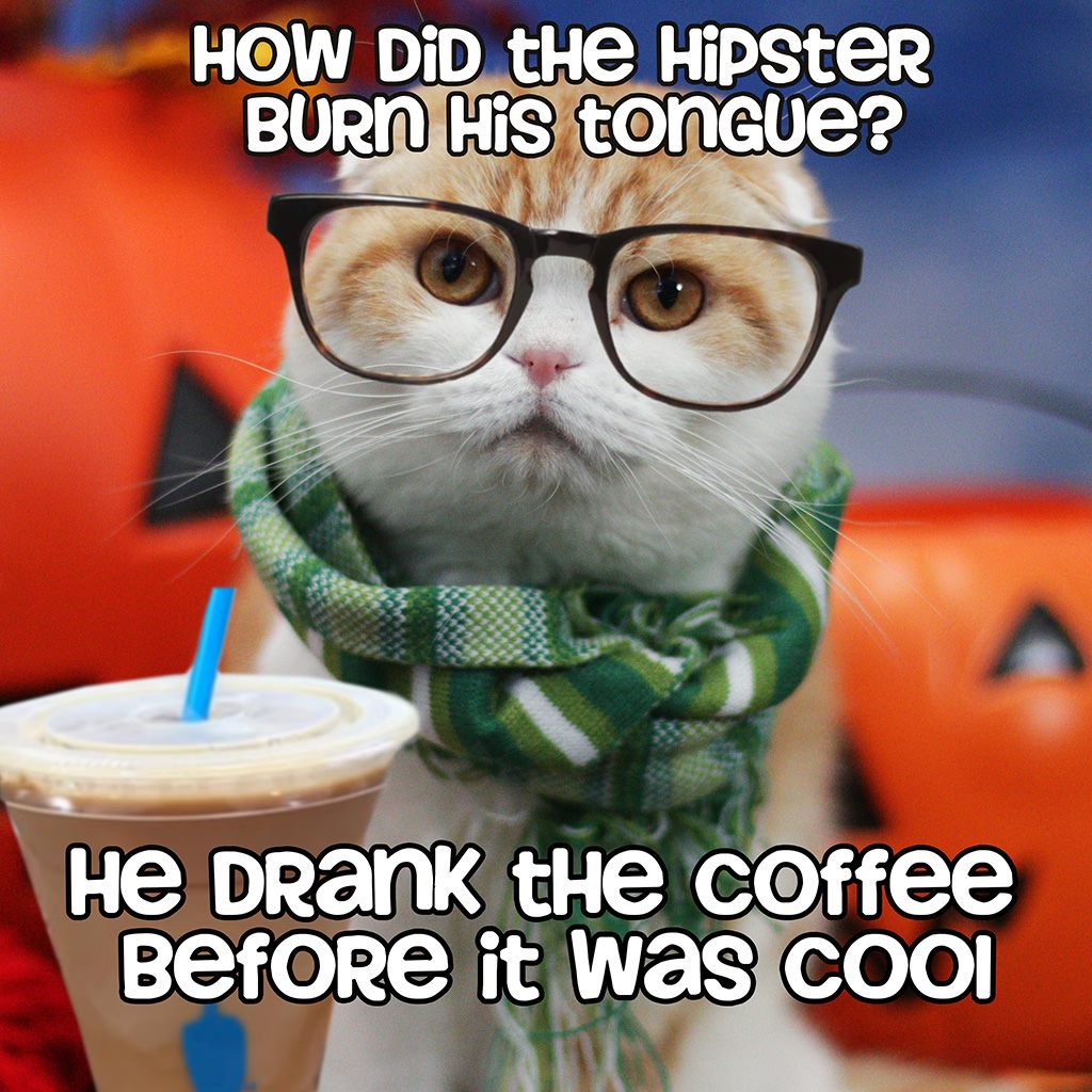 PetStories88's tweet photo. 🤓😺😁#Cat  #catsofinstagram #CatsOfTwitter #lovecats #hipster #Coffee #coffeetime #petstories #pets  #animals  #cats #petlovers #coffeebreak #TuesdayThoughts https://t.co/vu3qON1FDG