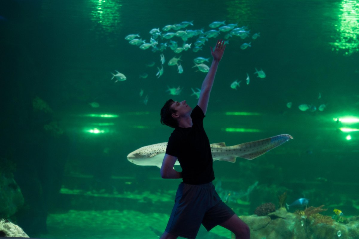 LivingPlanetUT's tweet photo. Our first #YogawiththeSharks of the year is coming up from 6:30-7:30 p.m. on Monday, January 8! Participate in an hour-long yoga session, then relax and socialize by the shark tank. Gather some friends and register for this one-of-a-kind event here: https://t.co/XoPwC5Gcmn. #LLPA https://t.co/un3AdNSVbs