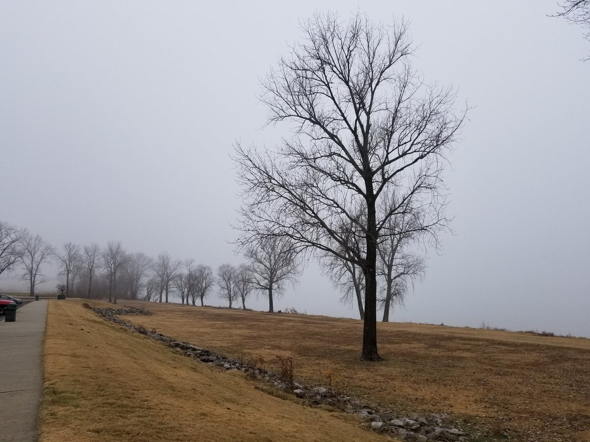 andyqp3's tweet photo. River and Bridge swallowed by fog. #Memphis #MSriver #FoggedOut @NWSMemphis @WX_BrittneyB https://t.co/eHSQx7jjq8