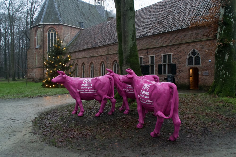 internwesterw's tweet photo. Officiële start van glasvezel in buitengebieden @GemWesterwolde en @stadskanaal_nl  @seinelok namens de drie gemeentes: een uitstekend voorbeeld van burgerinitiatief. Daarna de eerste las symbolisch gemaakt! https://t.co/ZS5bWA55XI