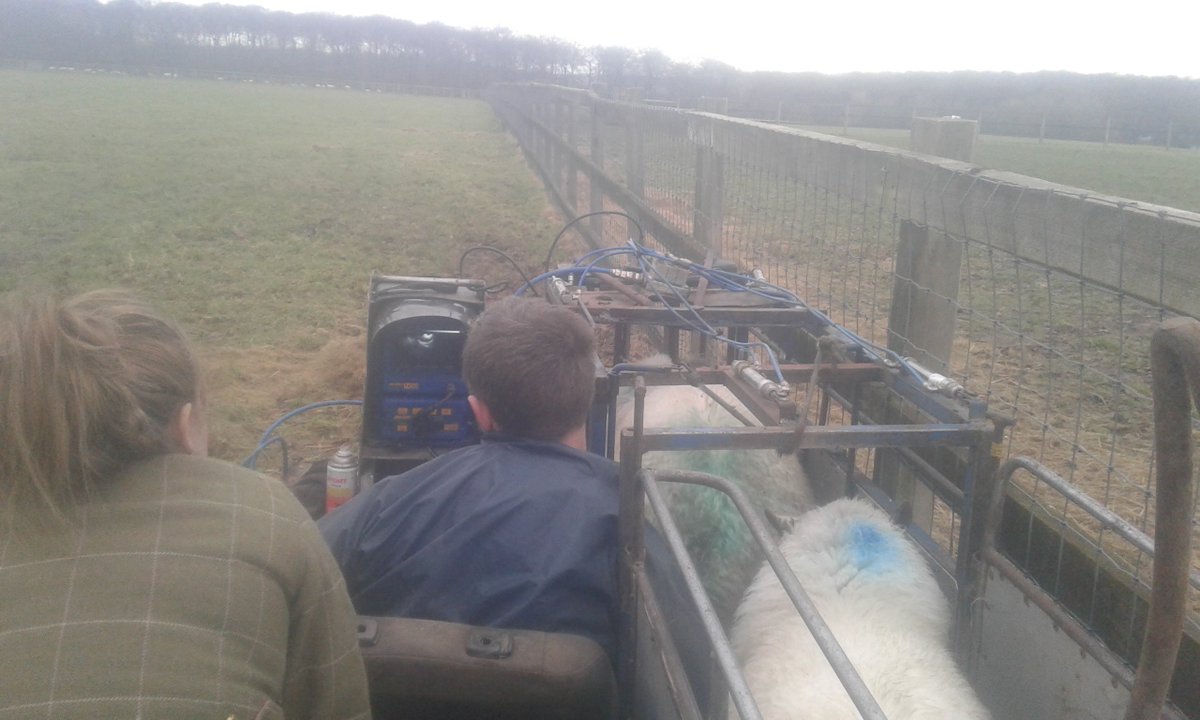 jcfarming's tweet photo. Great day for scanning ewes. #scanning #lambing2018 #bringonlambing #can'twait https://t.co/Ql9JBMhrxu