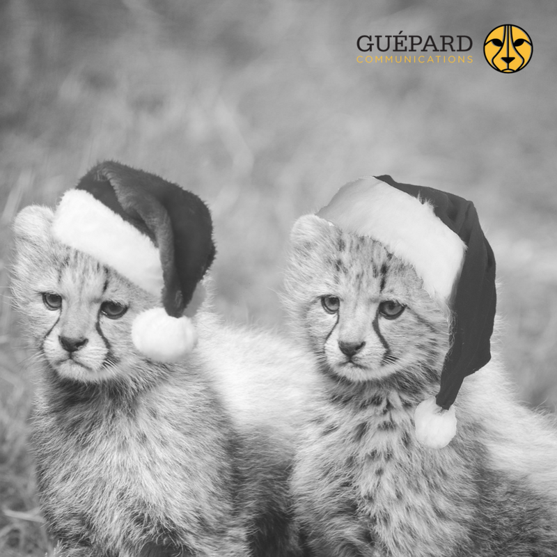 Justine Gaignard-P tweet media