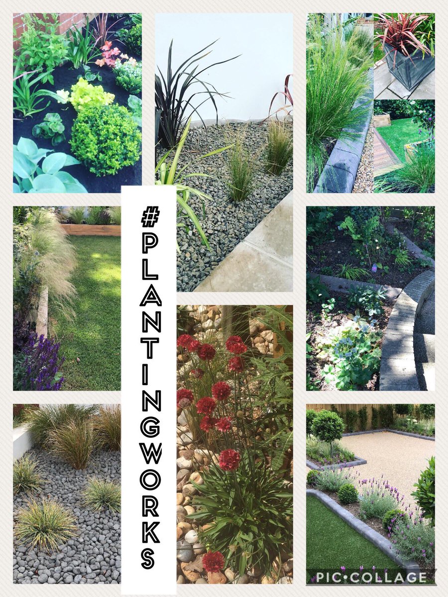 plantingworks's tweet photo. Itโs been another fantastic year for #plantingworks thank you to everyone involved #poole #Dorset #gardendesign #moderngarden #contemporary #modern #designinspiration https://t.co/AhmxoQefPV