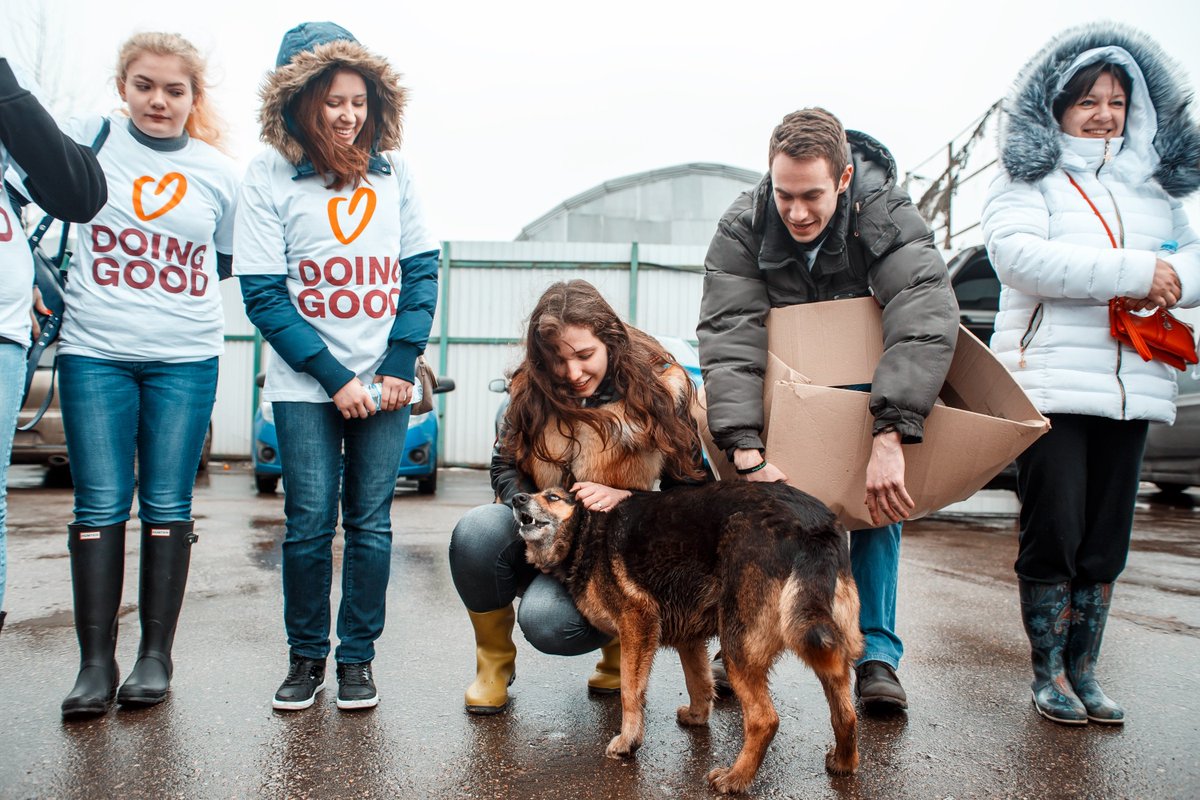 GoodDeedsDay's tweet photo. Pet shelters always need volunteers, but especially in winters! Go volunteer in your local one today! #DoingGoodYearRound https://t.co/RtaUOXFSxY