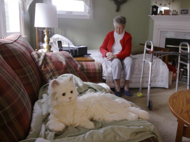 LindaCHoward's tweet photo. Not sure if I should laugh or run from robo-cat. 
https://t.co/YGOwFA0d0K https://t.co/0A3Ll007NU