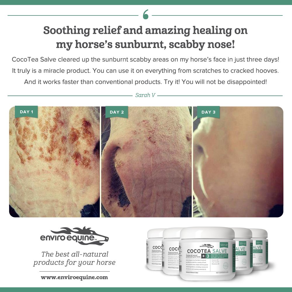Find us on FB for a chance to win a <a href="/EnviroEquine/">EnviroEquine</a> CoCotea Salve! CocoTea Salve has been formulated to combine the natural healing properties of coconut, tea tree, and rosemary oils to combat a variety of hoof and skin ailments and promote healthy hair growth.