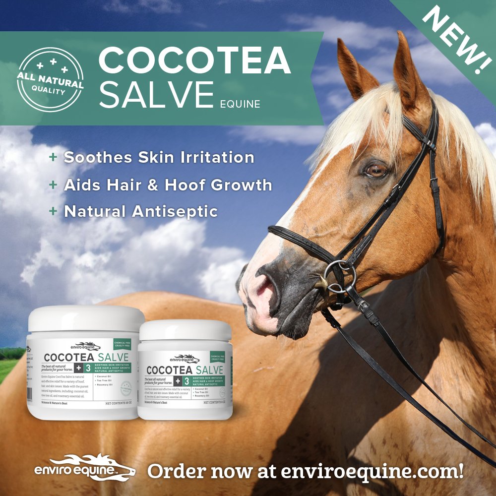 Find us on FB for a chance to win a <a href="/EnviroEquine/">EnviroEquine</a> CoCotea Salve! This soothing formula will never burn or blister the skin, and is safe to use under bandages. #equestrians