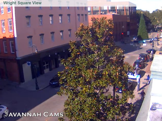 #Christmas in #Savannah ~  76 degrees right now!  Savannahcams.com