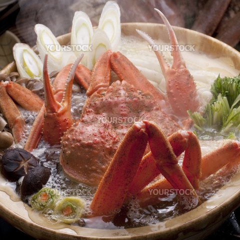 Yourstock ユアストック 17 12 14新着画像 雪遊び をする子供たち カフェで談笑する女性 バーベキューをする男女グループ 花嫁 カニ鍋や寄せ鍋 子犬 エコロジーや光のイメージ 戌年年賀状など T Co Cddc1buoly 写真素材 イラスト Yourstock ユアストック 17 12 14新着画像 雪遊び をする子供たち カフェで談笑する女性 バーベキューをする男女グループ 花嫁 カニ鍋や寄せ鍋 子犬 エコロジーや光のイメージ 戌年年賀状など T Co Cddc1buoly 写真素材 イラスト