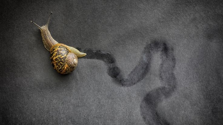 jlsymon's tweet photo. https://t.co/Hn3uTxBHKP "How to Respond to Recent Changes in Your #B2B Customers' #Buying Habits" by @fergus_parker , Boss #Marketing and Mark Moore, Founder, Help People Buy 3 #BossEquity #BossInsights Read Here: https://t.co/enrpbRERyW