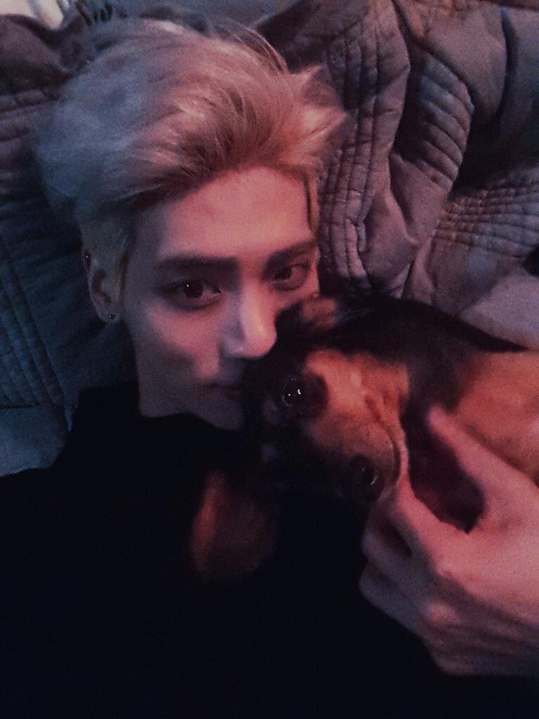 Lee_jieen's tweet photo. お願いですから、黒い犬とルーを一緒に並べないで下さい。ジョンヒョンはルーをとても愛してます。ヌナの誕生日に家にやって来たルーはいつも彼の側にいて彼の癒しになっていました。ラジオでどんなに帰りが遅くても、ルーはちゃんと出迎えてくれて、ルーはジョンヒョンの最愛の子なんです。 https://t.co/tzCsZJYLLl
