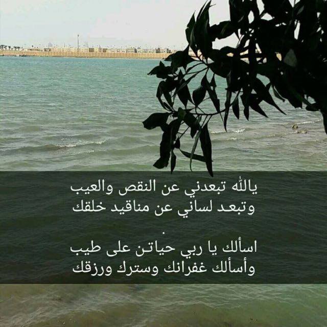 الطائف مبادل (@ggff88263694) on Twitter photo 