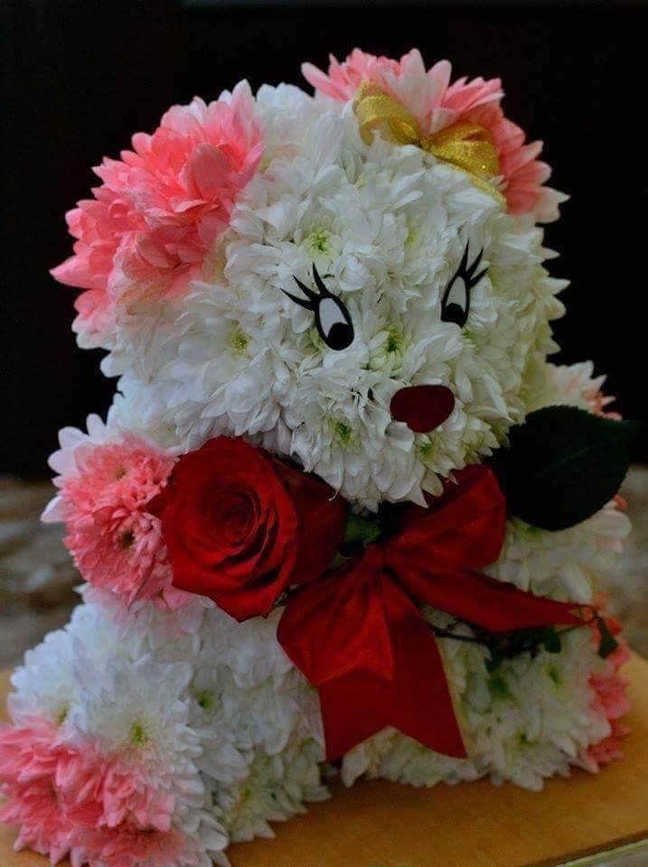 Divya07554924's tweet photo. https://t.co/8rlLRNY5aK