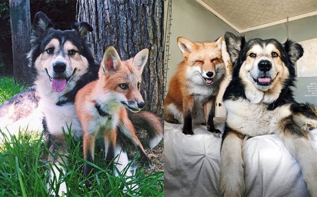 "We'll always be friends forever... Won't we?"