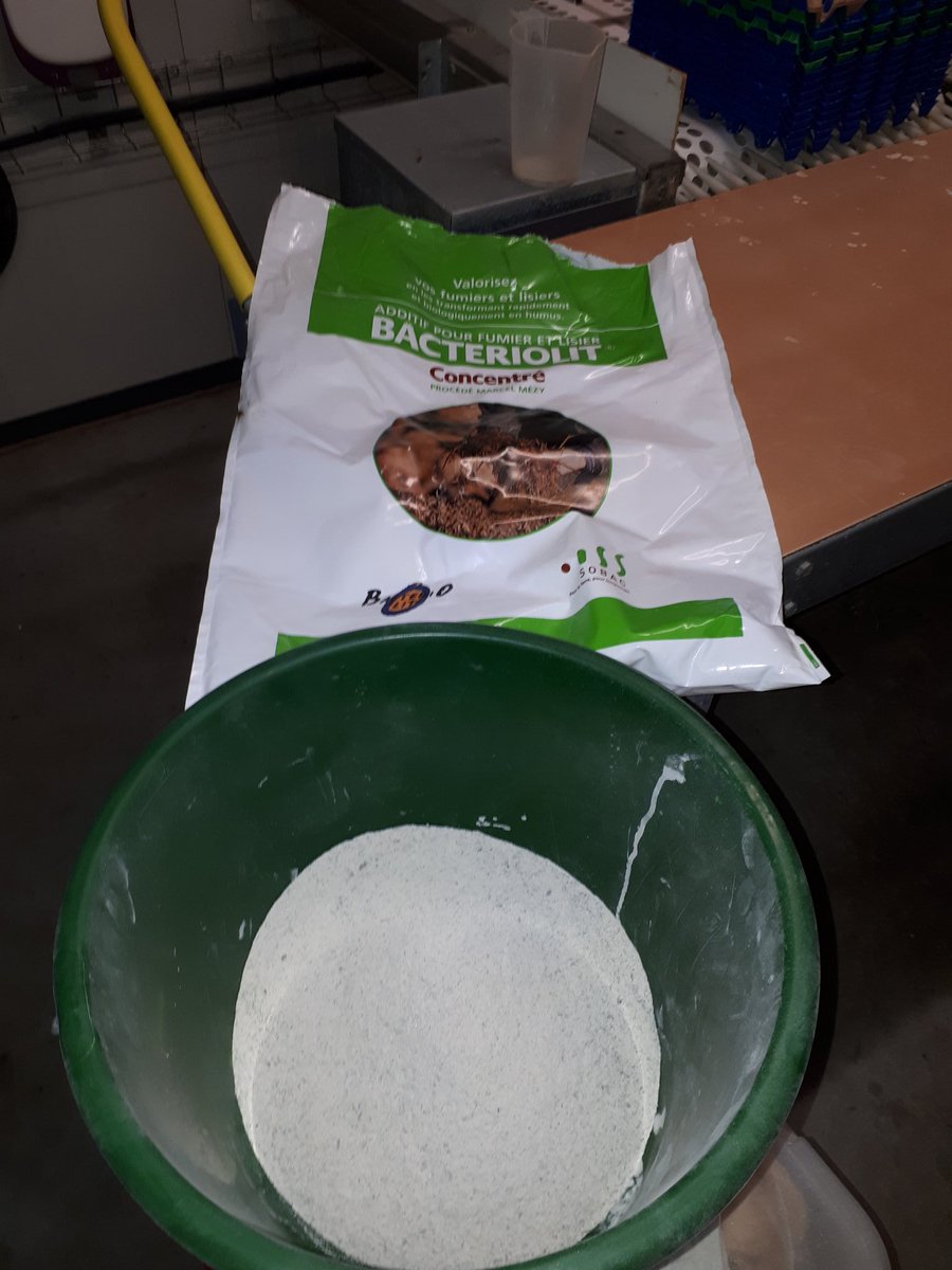 CedricetLydie's tweet photo. Épandage de 60 kg de #bacteriolit pour capter l'ammoniac qui se diffuse dans l'air et aide à la décomposition des feintes. Collègues éleveurs je vous tiens au courant 😘... https://t.co/43afcpIK2p