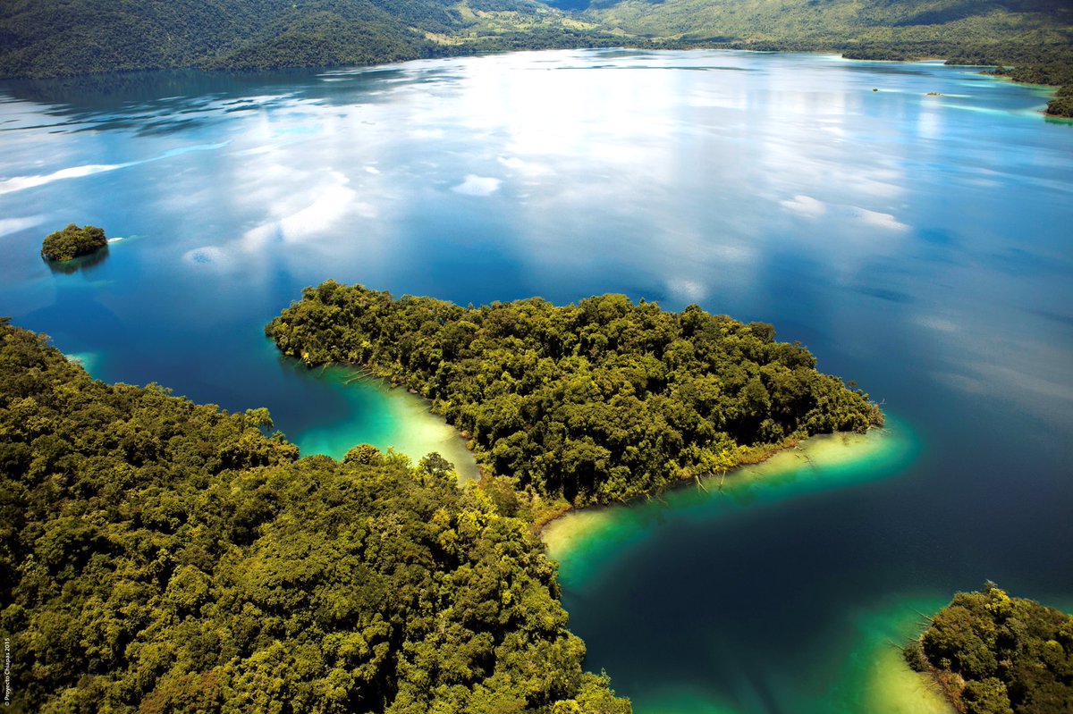 VelascoM_'s tweet photo. #RutaMaya. Laguna Miramar, tesoro natural de la selva virgen. En tus vacaciones ven, conoce y disfruta #Chiapas. #EstadoSeguro. https://t.co/pwa1JYE9P7
