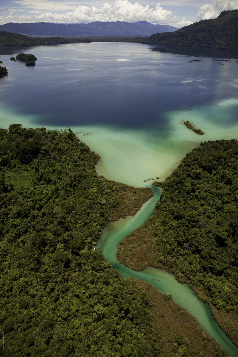 VelascoM_'s tweet photo. #RutaMaya. Laguna Miramar, tesoro natural de la selva virgen. En tus vacaciones ven, conoce y disfruta #Chiapas. #EstadoSeguro. https://t.co/pwa1JYE9P7
