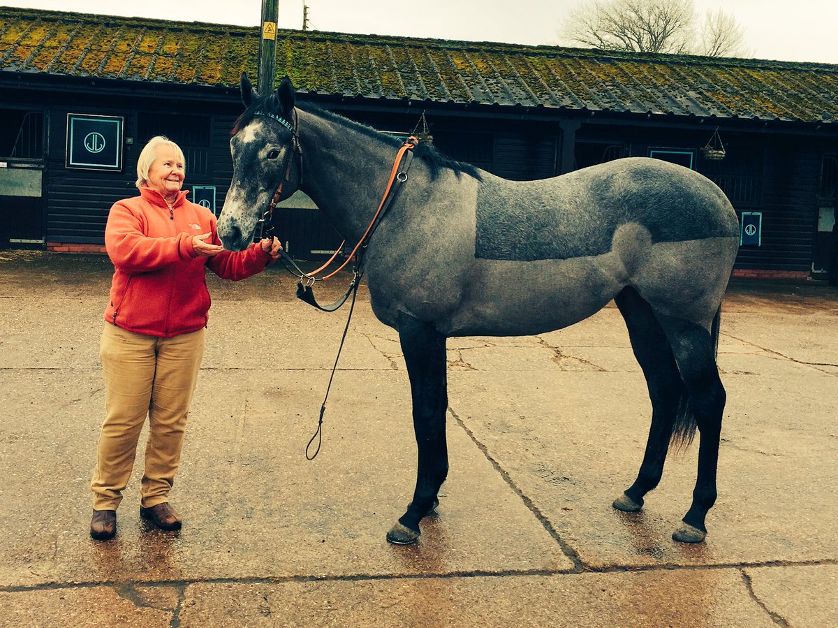 Great to have a visit from the <a href="/CarisbrookeStud/">Carisbrooke Stud</a> team today. Here is a daughter of <a href="/DarleyStallions/">Darley</a> Shamardal.
