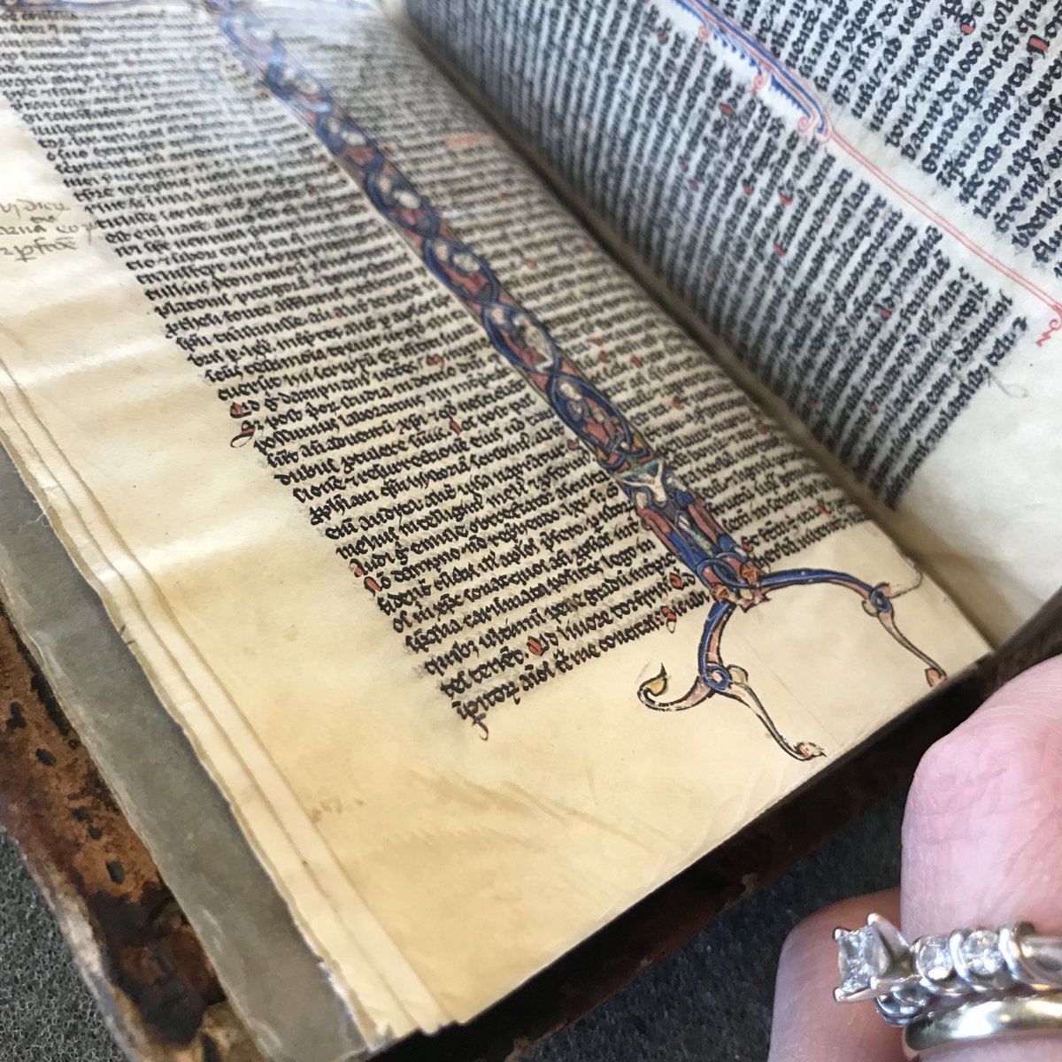 u_mspcoll's tweet photo. tiny beasts for #TinyTuesday in Mich Ms 240, a 13th c Latin Bible (also out for a class today)
#GothicBibles #LatinVulgate https://t.co/AArkeYg2aE