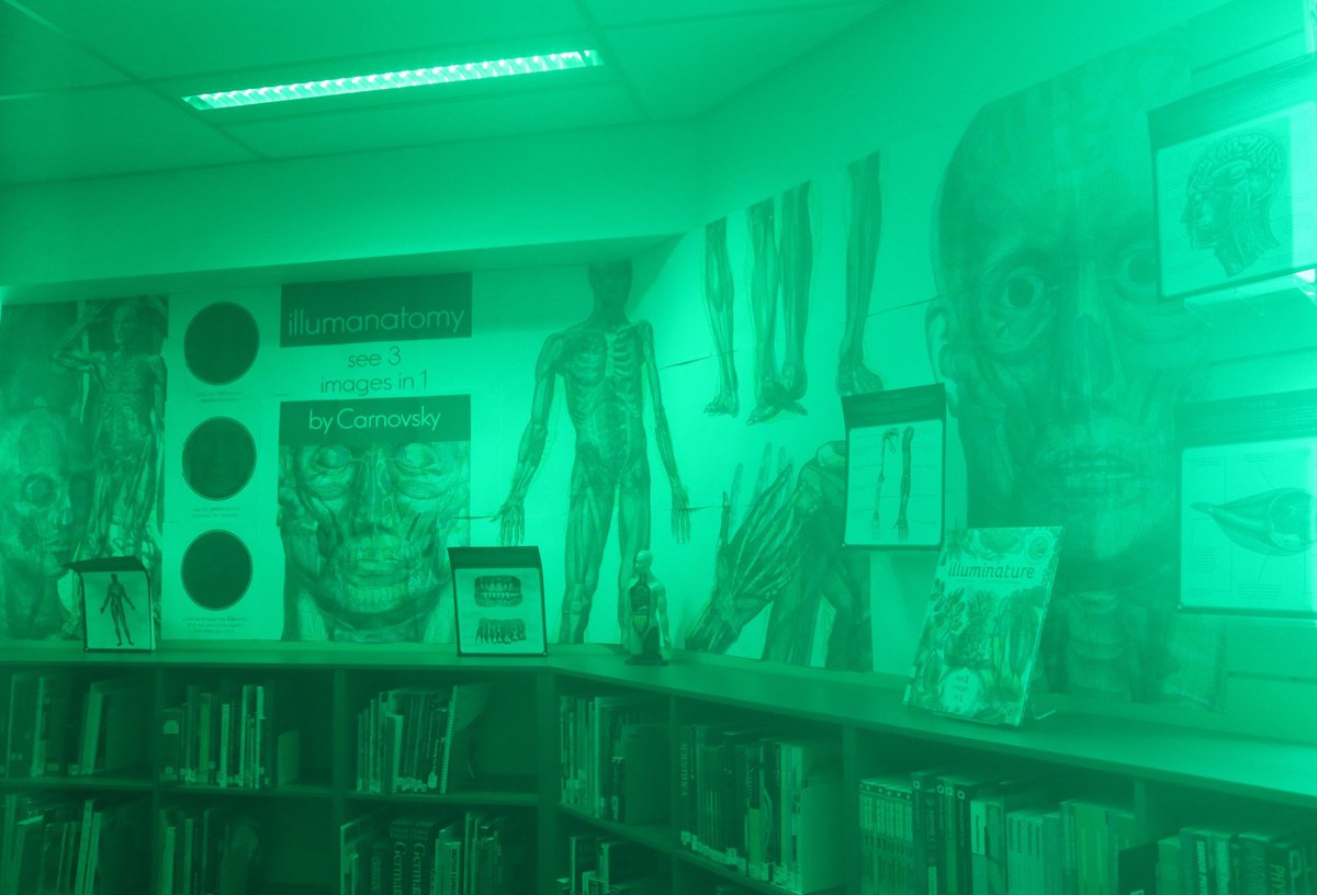 StRitasLibrary's tweet photo. Our students will be having an #anatomy lesson like no other with this new #display! Look inside the human body with three different colour lenses. #Illumanatomy is one of our favourite picture books. Thank you @RiverbendBooks! #Carnovsky #KateDavies #learn #picturebook #libspo https://t.co/Xlh5ou5nga