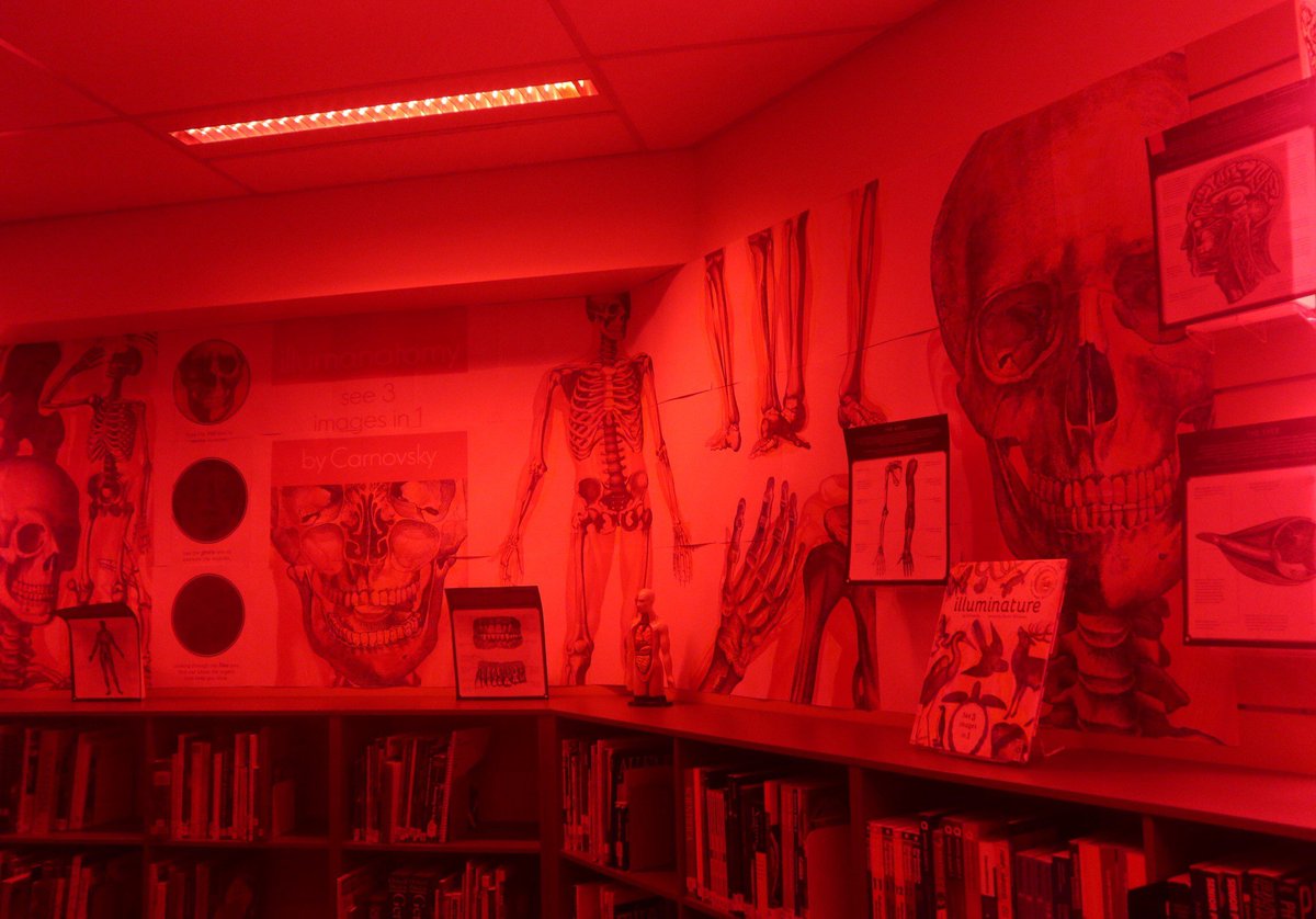 StRitasLibrary's tweet photo. Our students will be having an #anatomy lesson like no other with this new #display! Look inside the human body with three different colour lenses. #Illumanatomy is one of our favourite picture books. Thank you @RiverbendBooks! #Carnovsky #KateDavies #learn #picturebook #libspo https://t.co/Xlh5ou5nga