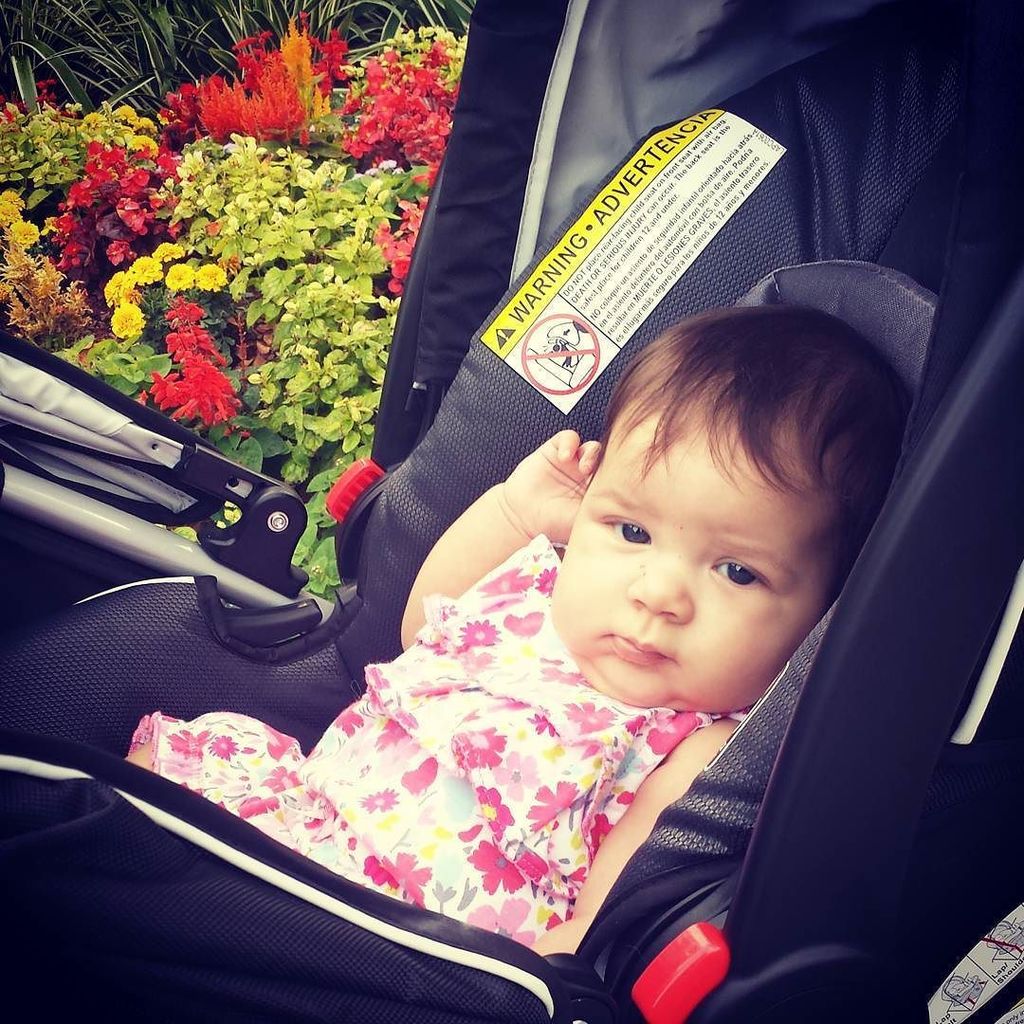 coolkelsi's tweet photo. Florida means summer clothes and sunshine in December 🌼🌻🌷🌹🌸🌺🌞 #cutestbaby #10weeksold #getyourvitamind #getyourexercise #sunshine #floridalife #beachlife #babylife #momlife https://t.co/4Ni1zDKvA8 https://t.co/jayTeMXBIu