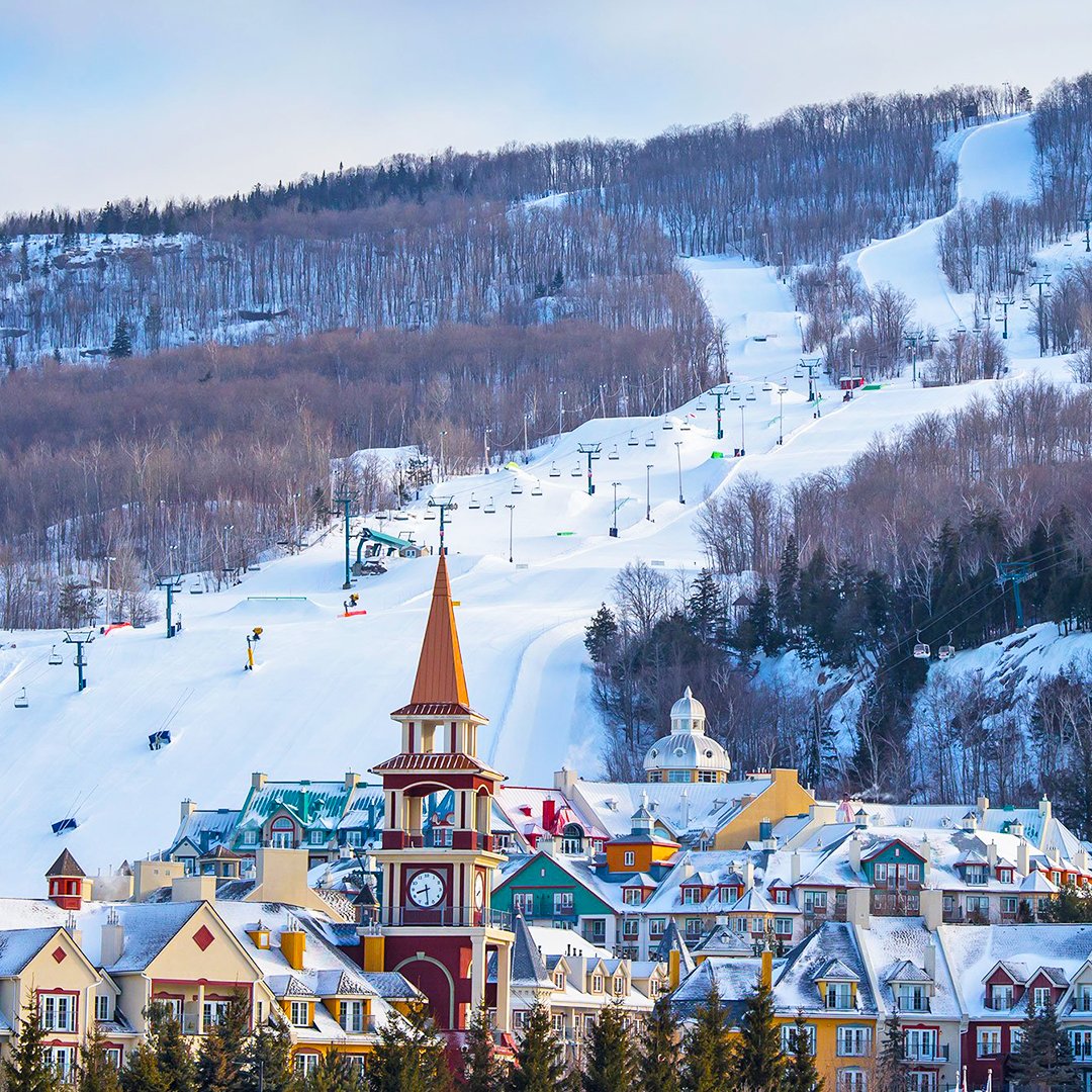 TruBlue Est1987 tweet media