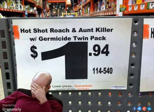 polluxc's tweet photo. Don't like your aunt? Here's a #Christmas #gift idea. #spelling #error https://t.co/FrjD1ITZfP