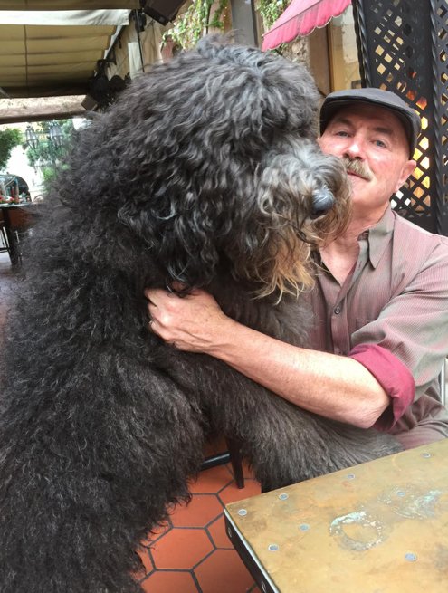 kivacowork's tweet photo. #MeetOurMembers: Rowland Hanson & Jake (The HMC Company) “My dog Jake is a global celebrity given the # of Santa Barbara tourists that take his picture!"
#impactsb #member #feature #inspiration #entrepreneurship #entrepreneur #funfact #coworking #santabarbara #quotes https://t.co/kVvSNH22CL