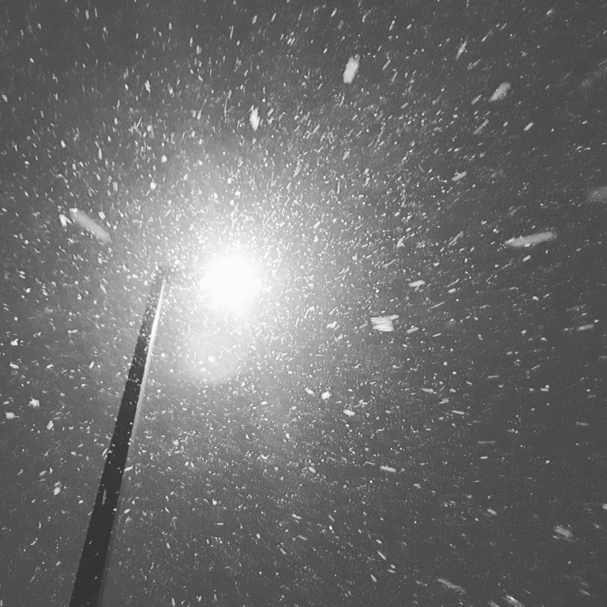 robert__runs's tweet photo. Petites run commutes enneigées aujourd'hui, moins rapide mais pas mal plus difficile! ❄️
.
Snowy run commute day, not as fast as usual but a lot tougher! ❄️
.
#FuelYourGoals #BrixalErable #OttawaMarathon #EquipeFormidable #TeamAwesome #CourezOttawa2018 #runOttawa2018 https://t.co/6fRwx3Joql