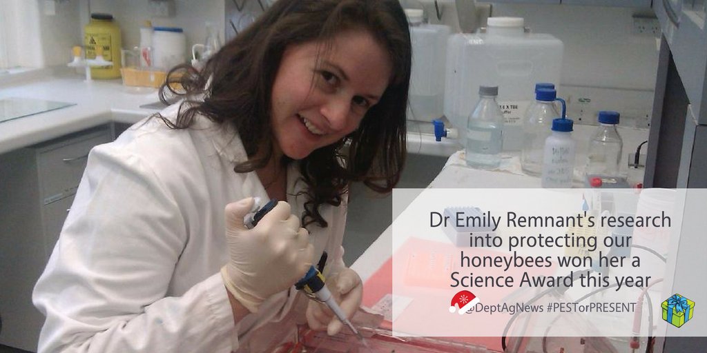 DAFFgov's tweet photo. #PESTorPRESENT 🎁 Dr Emily Remnant's research into protecting our #bees won her the @AgriFuturesAU sponsored #ScienceAward this year | Read about Emily's research: https://t.co/REYENK4wMi https://t.co/E2BP3Anpar