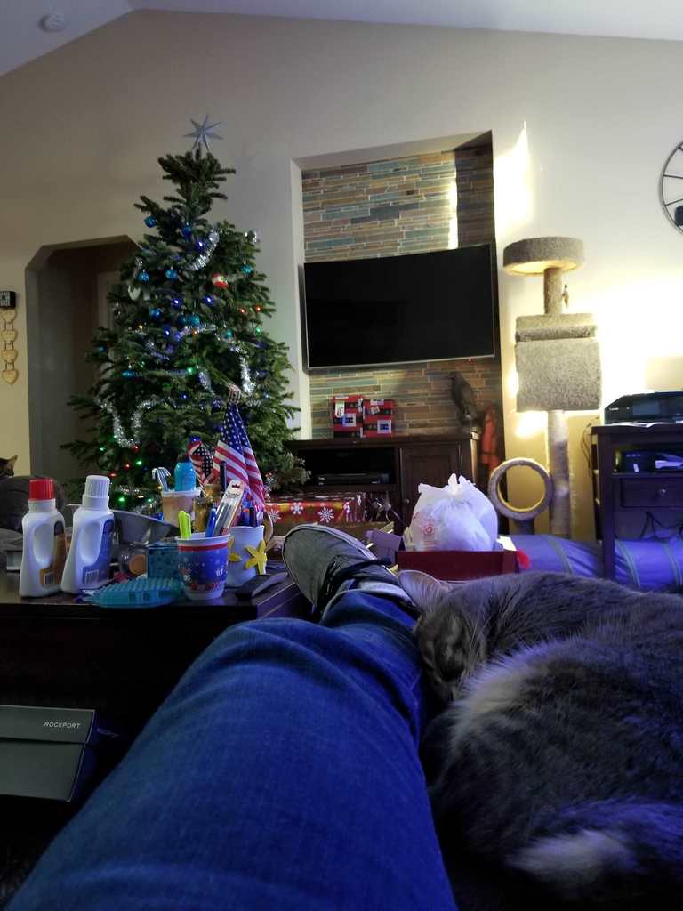 Shh, it's nap time.