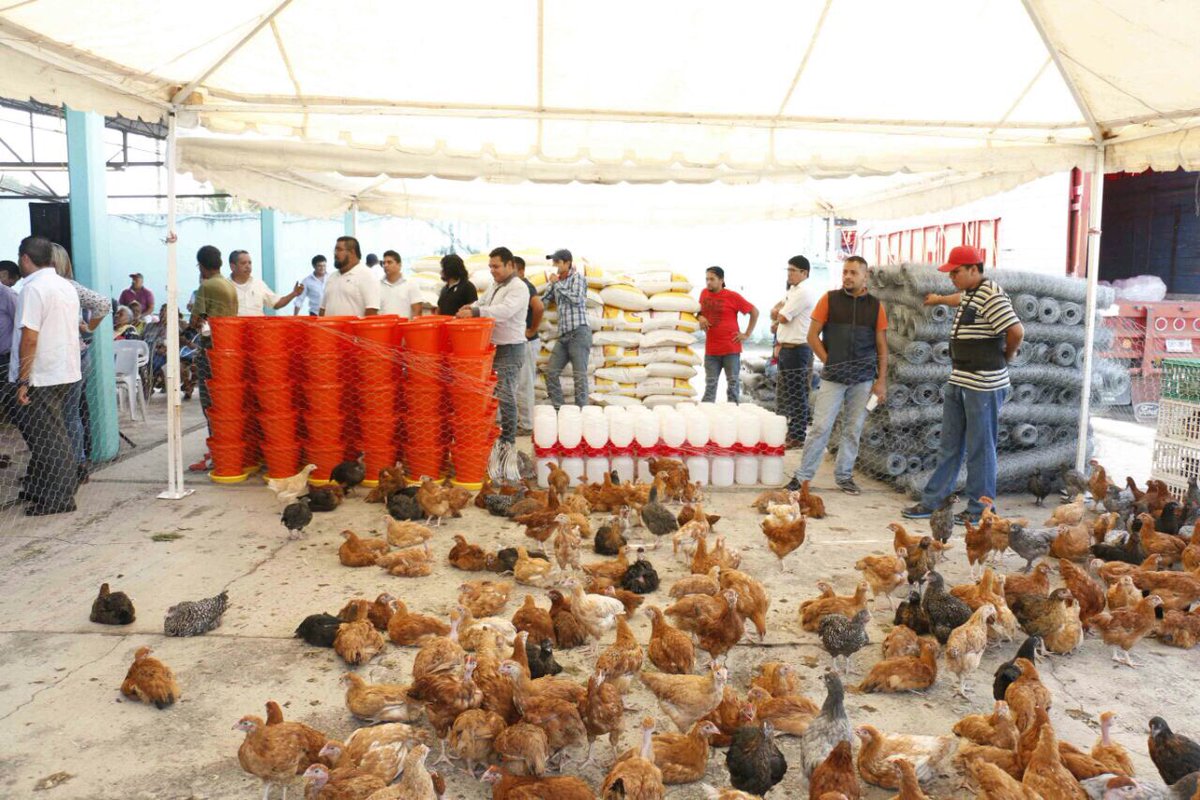 Ramón Poo tweet media