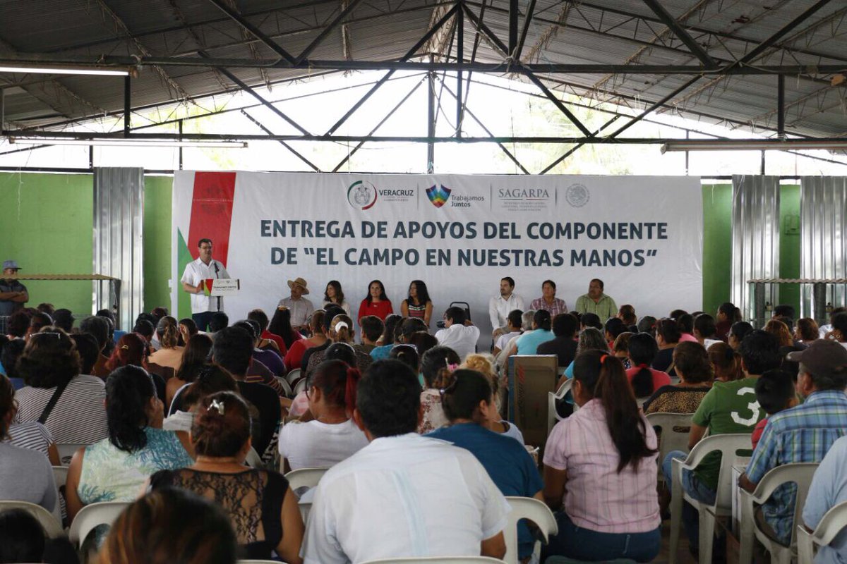 Ramón Poo tweet media