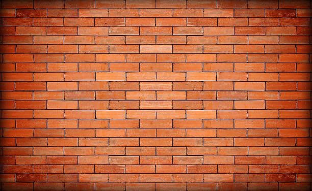 benmendy23's tweet photo. Claudio is back ⛔️ @C1audioBravo 🤙🏾 https://t.co/5v4fMPLKOM