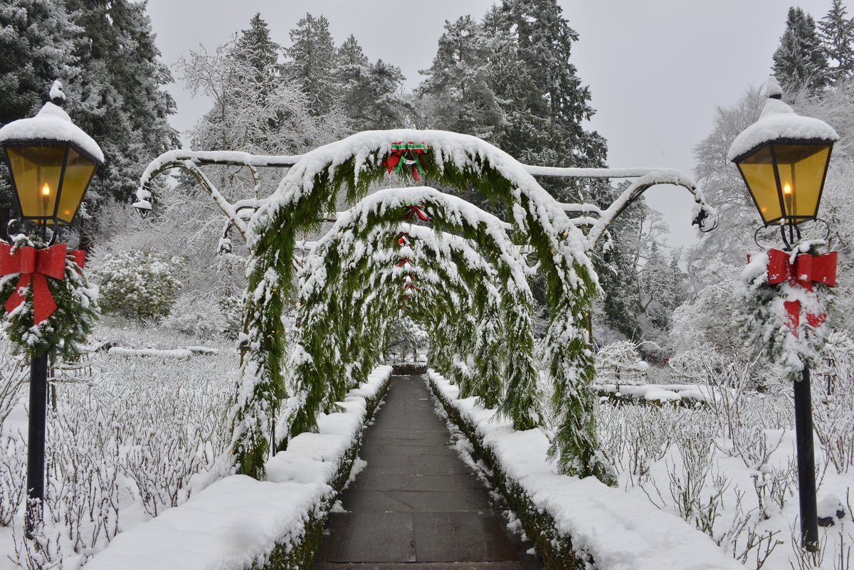butchartgardens's tweet photo. [2:35pm UPDATE] Still open! Power is fully restored at The Butchart Gardens. That means the Dining Room Restaurant and Rose Carousel are now open and the fountains are activated. The accessible path around the Sunken Garden will re-open soon.
#yyjtraffic #yyj #ButchartChristmas https://t.co/QaUZqe0q4D