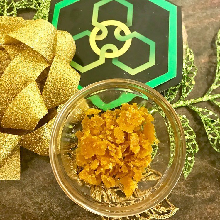 EndoExtractions's tweet photo. Festival feels here at Endo 🎄 7 more sleeps til’ Christmas! What a beautiful gift this #scoutmaster #liveresin is! We’re pretty excited about it. #dabbersdaily #dabstagram #dabsfordays #dabstyle #dabsaway #christmasdabs #bcbud #weedforchristmas #dabs… https://t.co/WhxWu6gcPw https://t.co/69ShlStRyJ