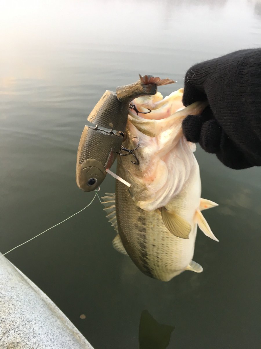 lapbass's tweet photo. TYget a haircut bassRT

@BassFishnTips 
@sasquatchlureco 
@SteveSMiller1 
@Bassman_bill 
@BaldBandit43 
@dyehardt 
@AtheFisherman 
@tuturellafilho
@spot2fish 
@OzarkFinesseGuy 
@randymortensen3 
@DwayneMcguire3 
@FRTee 
@Bassman405 
@RaySilvia 
@catchinsmallies 
@330Fishing https://t.co/JK1EJAxIK5