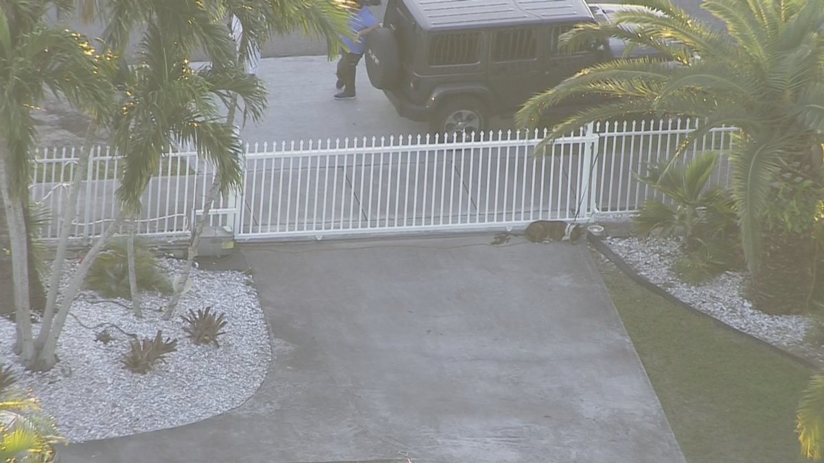 7-year-old girl bitten on face by dog in southwest Miami-Dade, authorities say bit.ly/2oNmkCP https://t.co/J6ZX0RF7E5