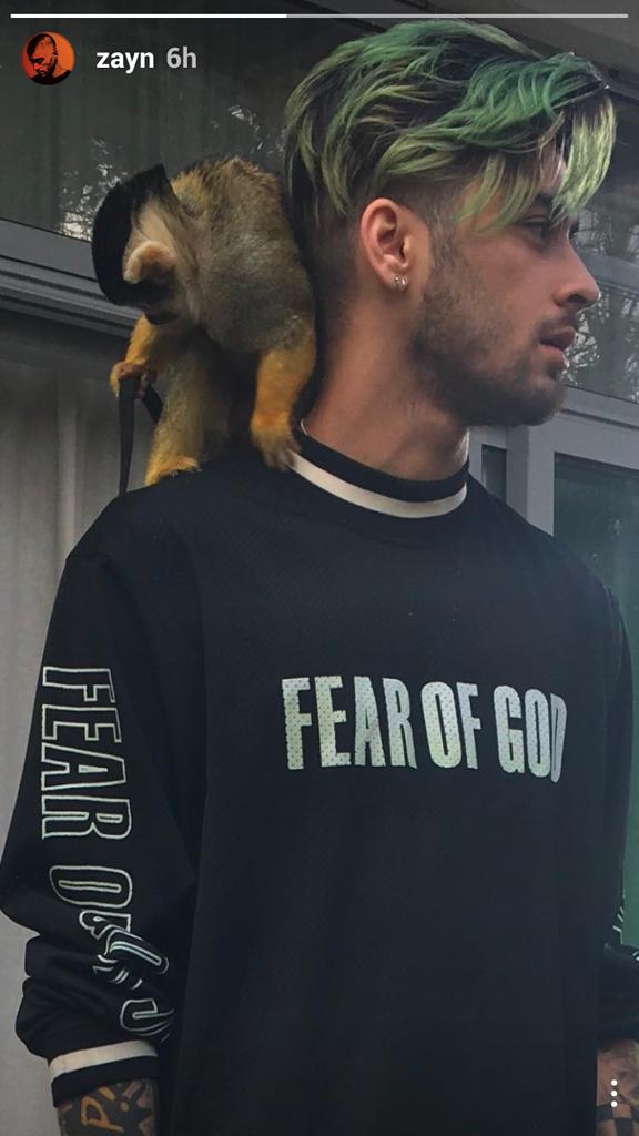 Zayn wears a Fear of God sweater. Liam "i'm gonna wear a Fear of God Jacket", "i'm gonna wear Fear of God Pants", "GUYS LOOK AT ME I'M WEARING A FEAR OF GOD SWEATER IN NY, AND YOU ALL KNOW MY HUSBAND IS HERE TOO"SrynotSry^^ Bye.