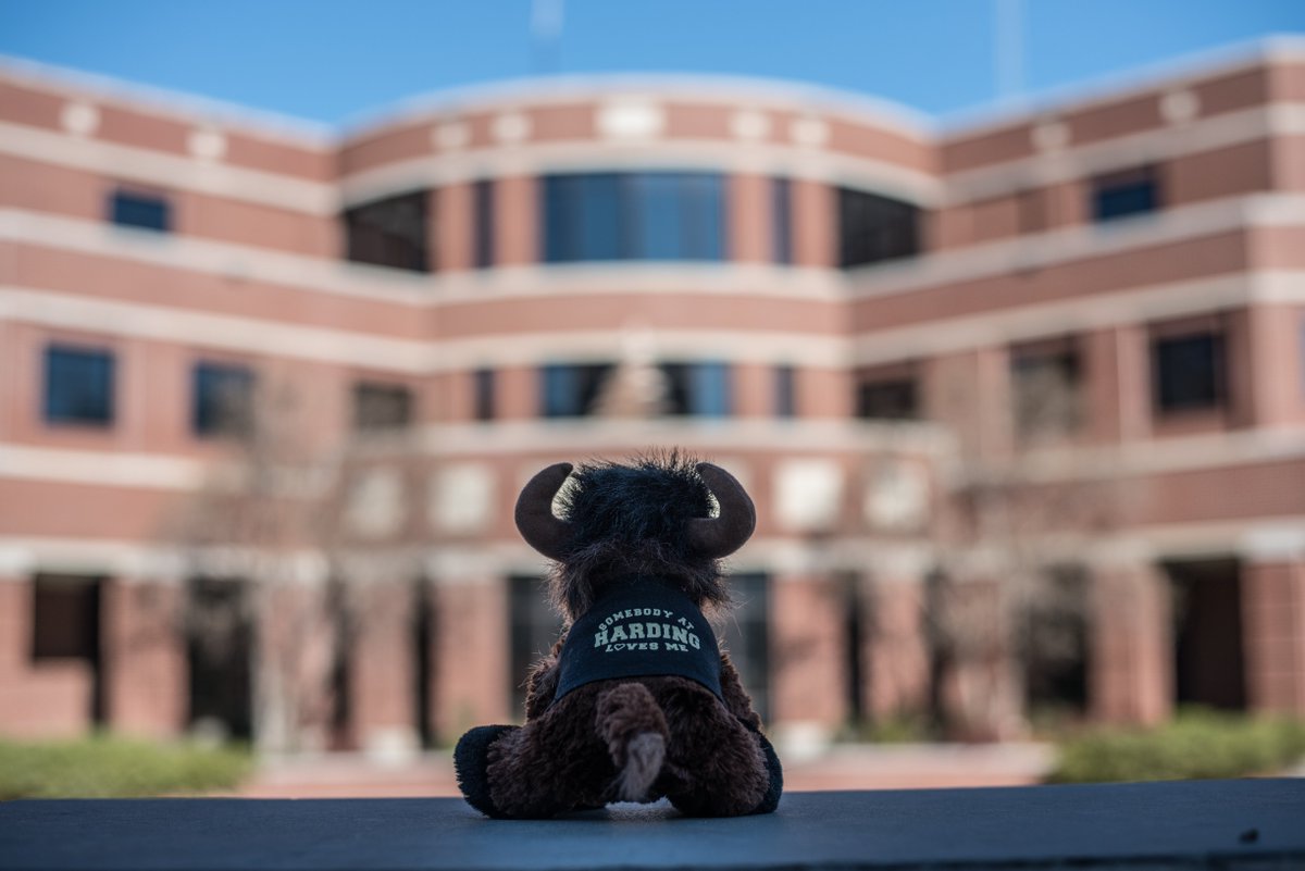 HardingU's tweet photo. Defeated, he sat down and cried on the step. 
He was full of sadness, disappointment and regret.  
“I left my shelf — this can’t be the end!” 
And then, out of nowhere, up walked a friend. #BuffOnAShelf https://t.co/TfADDbZklD