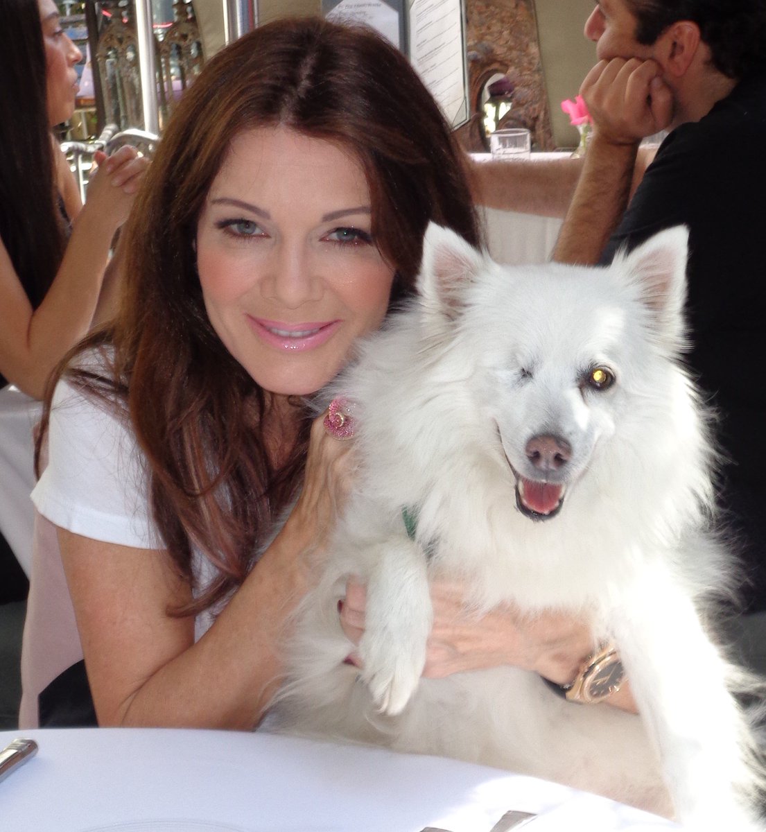 OneEyedFlurry's tweet photo. @GiggyThePom
@LisaVanderpump
@KenToddBH
Break a paw 2nite &amp; 
GOOD LUCK in Season 8 of #RHOBH!
#BreakAPaw
(OMGosh, Season 8!)
❤🐕❤  https://t.co/2q1g8gAPcK https://t.co/04mjAjrbxE