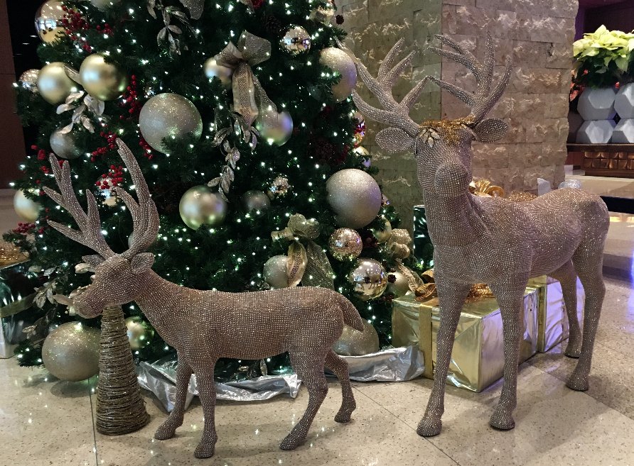 JWMarriottATX's tweet photo. With our holiday sale, you have every reason to #retreat yourself this season! You could save up to 30%! https://t.co/mHfLLC0csY #TravelTuesday #HappyHolidays #Staycation #JWMarriottATX https://t.co/yyjHPvdcR4