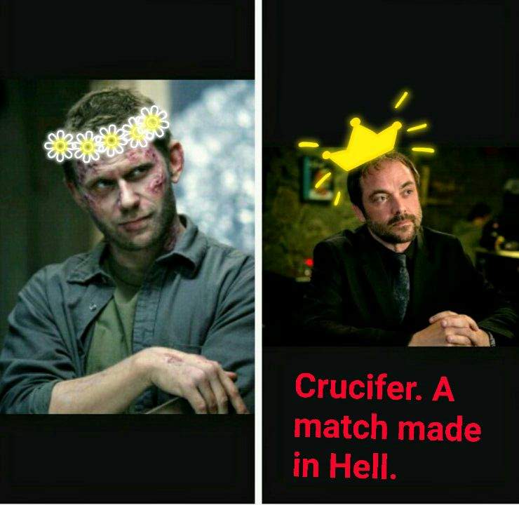N_J_N_Jones's tweet photo. I think I really love my little Puppy #BoyFriend Crow🤔 at my Luci pic it isn't my Crowley but a nice one. Sometimes I wonder what @Mark_Sheppard and #MarkP think about the Ship Crucifer. 🤔 what ever they think about this nice Pairing they will see it at Pugartory Germany🔥💜 https://t.co/gAEfyMMOqR