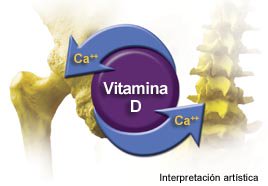 Resultado de imagen para vitamina D Y CALCIO