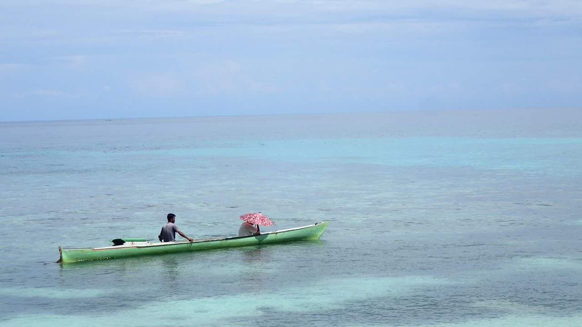 claire_bertin's tweet photo. https://t.co/kNdkCwryrE
Le paradis pour 20 euros par jour, oui oui, en vidéo.
#malenge #togianislands #sulawesi https://t.co/O6aZF6DmFp
